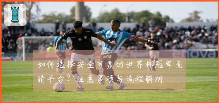 如何选择安全可靠的世界杯冠军竞猜平台？注意事项与流程解析