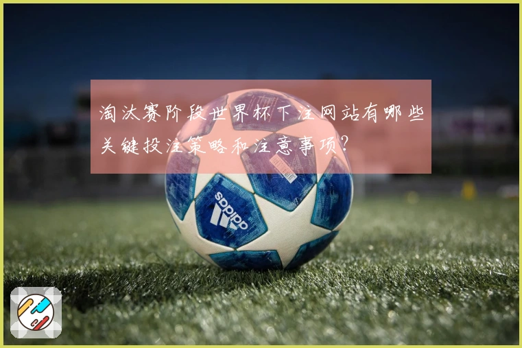 淘汰赛阶段世界杯下注网站有哪些关键投注策略和注意事项？