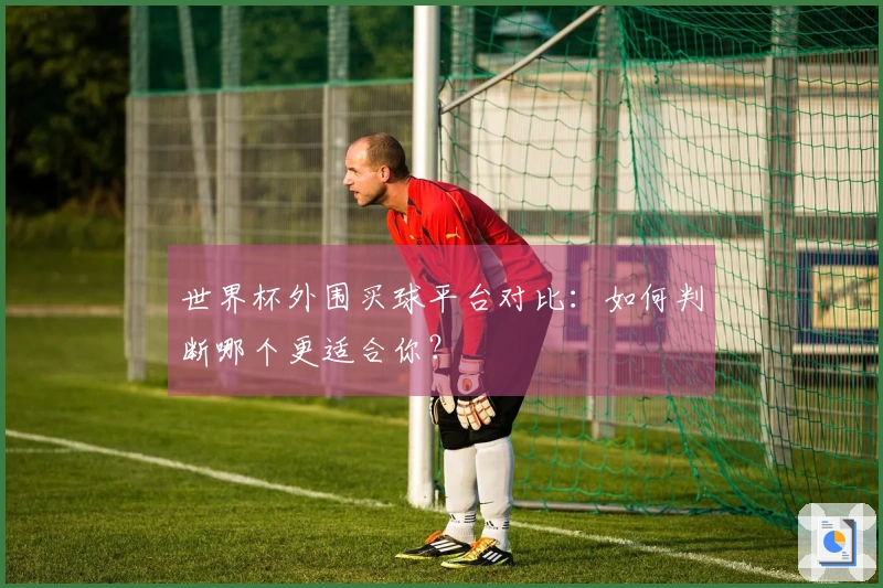 世界杯外围买球平台对比：如何判断哪个更适合你？