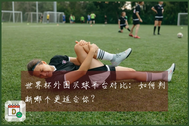 世界杯外围买球平台对比：如何判断哪个更适合你？